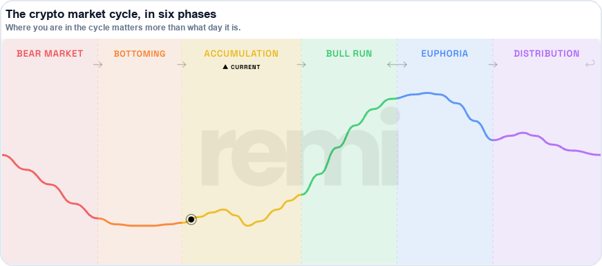 The live REMI Crypto Cycle Index showing the six market cycle phases — Bear Market, Bottoming, Accumulation, Bull Run, Euphoria, Distribution — with the current phase marked