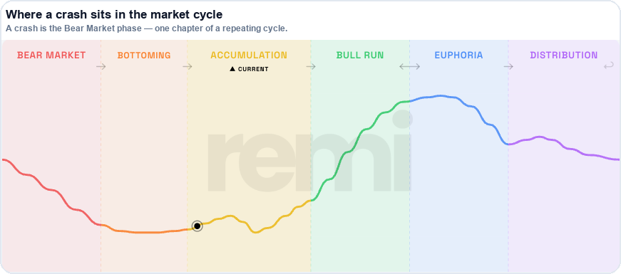 The live REMI Crypto Cycle Index showing the six market cycle phases — Bear Market, Bottoming, Accumulation, Bull Run, Euphoria, Distribution — with a crash being the Bear Market phase of a repeating cycle